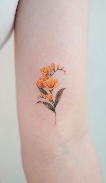 62 Unique Hummingbird Tattoo For Back  Tattoo Designs  TattoosBagcom