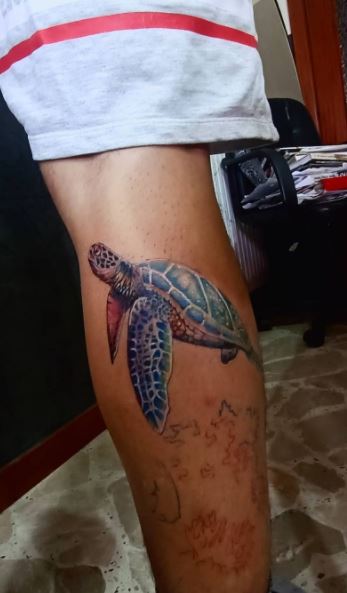 100 Turtle Tattoos For Men  Hard Shell Design Ideas