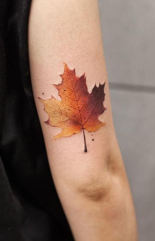 maple leaf outline tattooTikTok Search