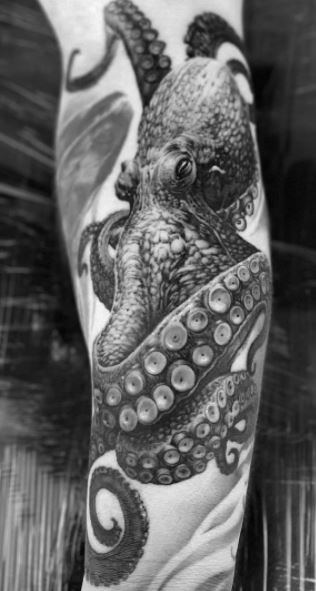 octopus drawingblack and white  Octopus drawing Octopus tattoo Octopus  tattoo design