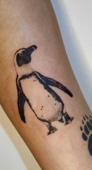 45 Sweet and Funny Penguin Ideas For Your Next Tattoo