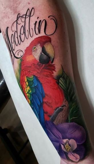 70 Colorful Parrot Tattoos Ideas  Meaning  Tattoo Me Now