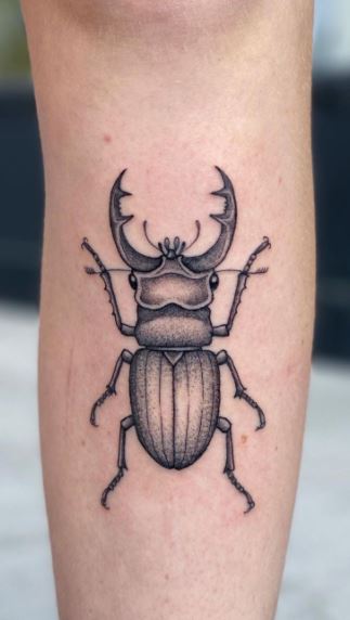Insect tattoo illustration 26519060 Vector Art at Vecteezy