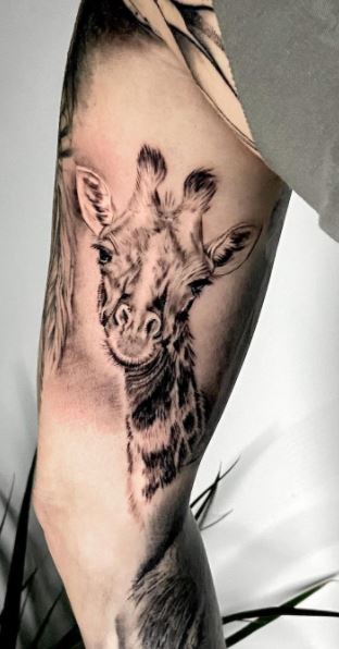 A tattoo of a giraffe on the leg photo  Free Skin Image on Unsplash