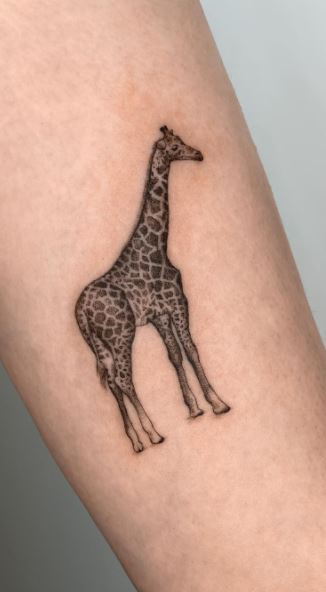 95 Unique Giraffe Tattoos, Ideas, & Meaning - Tattoo Me Now
