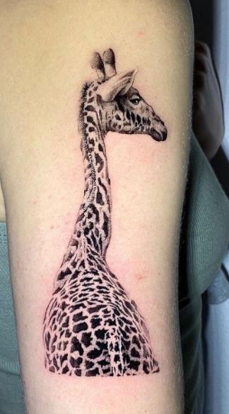 King Of Hearts tattoo LV on Twitter Cute black amp gray giraffe by  turtletattoos tattoo tattoos ink art tattooartist tattooed inked  tattooart following kingofhearts kingofheartstattoolv lasvegas lv  lasvegastattooshop 