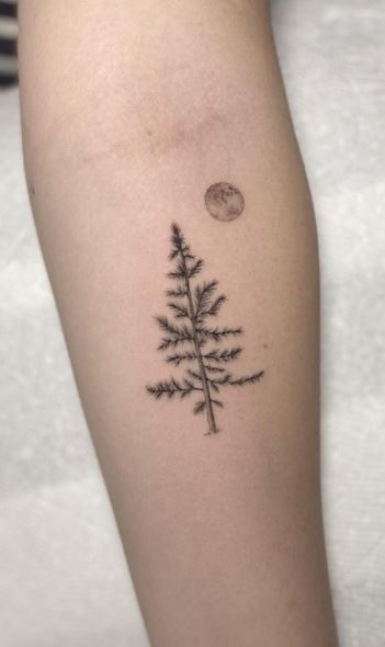 50 Pine Tree Tattoos and Ideas for Nature Lovers  Tats n Rings