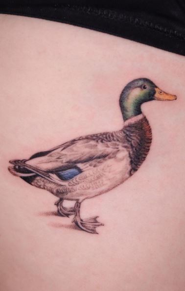 Duck Tattoo Images Browse 3678 Stock Photos  Vectors Free Download with  Trial  Shutterstock