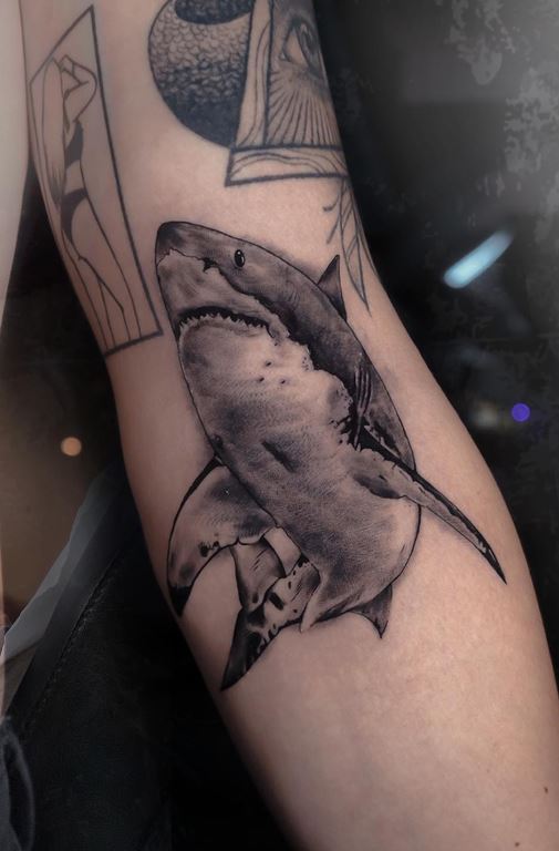 shark tooth tattoo ideasTikTok Search