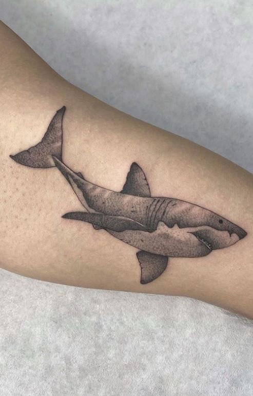 Great White Shark Tattoo