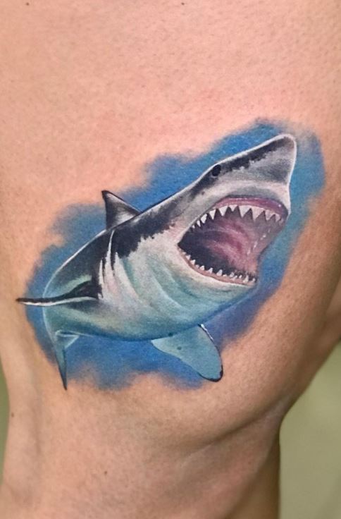 Just got this super realistic whale shark tattoo what do you think  r sharks