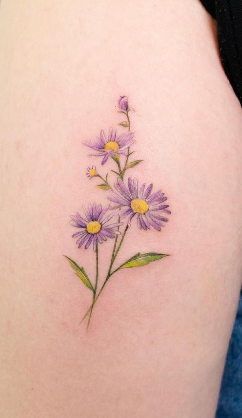 50 Meaningful Aster Tattoos, Designs & Ideas - Tattoo Me Now