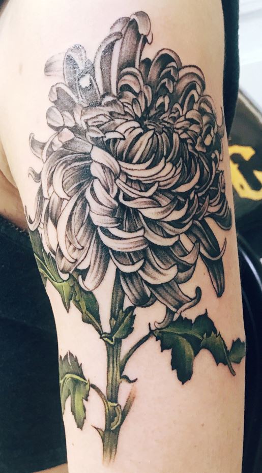 𝐋 𝐔 𝐍 𝐀 on Twitter Symmetrical Asymmetrical shoulder tattoos   Spiderlily and chrysanthemum to symbolise life and death  httpstcoauqhzXkwVP  Twitter