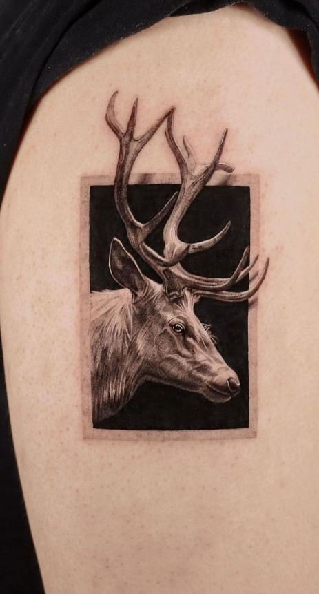 25 Most Popular Deer Tattoo Ideas Designs and Meaning 2023