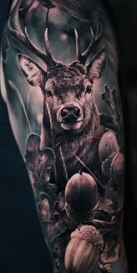 Realistic Deer Tattoos