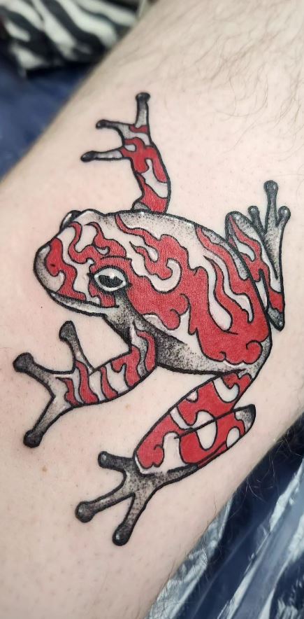 Frogs and Toads  Japanese tattoo Traditional tattoo art Tattoo design  book