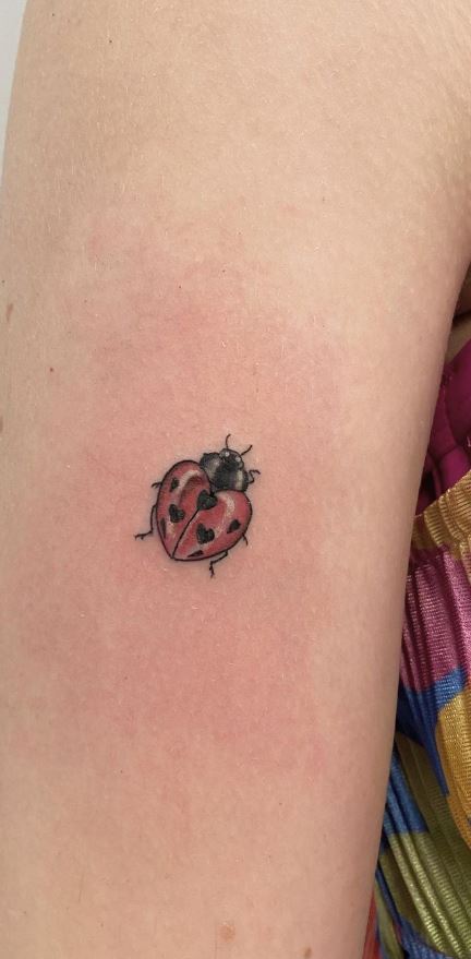 25 Lovely Ladybug Tattoo Ideas for Men  Women in 2023