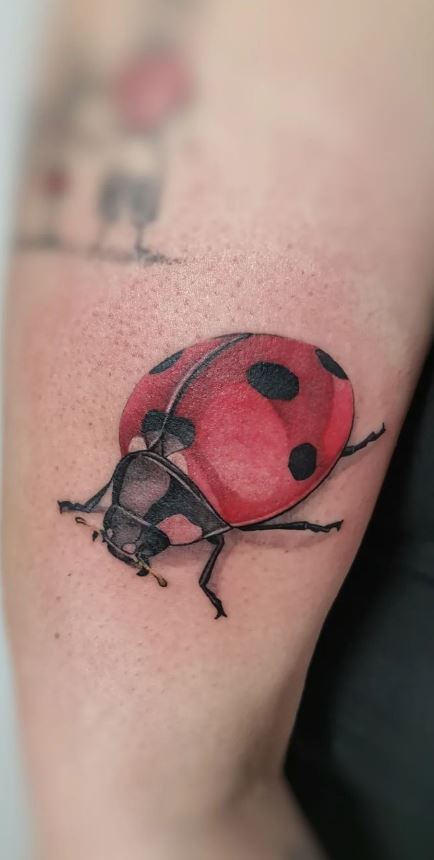 Ladybug Tattoo Designs That Inspire And Bring Fortune 50 Ideas