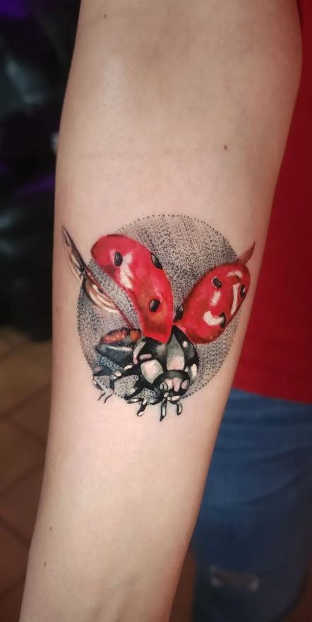 ladybug tattoo Best Tattoo Studio in India Black Poison Tattoo Studio