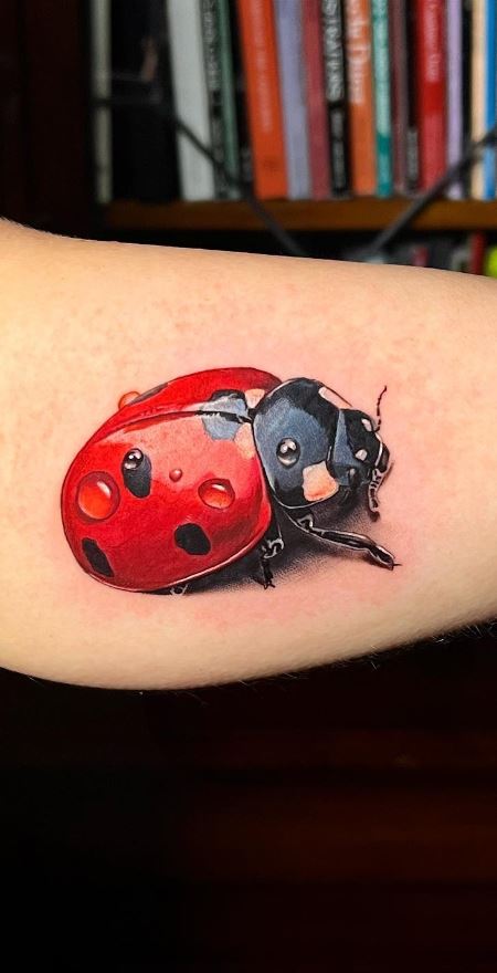 25 Lucky Ladybug Tattoo Ideas  Tattoo Glee