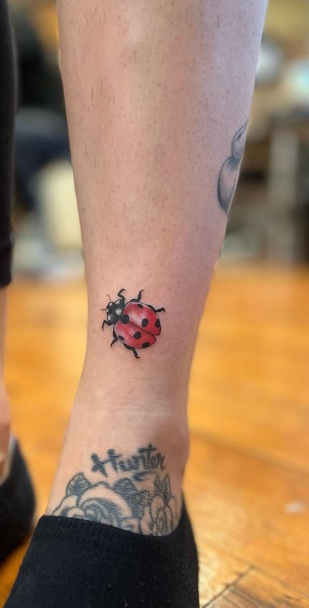 51 Cute Ladybug Tattoo Designs And Ideas  Artistic Haven