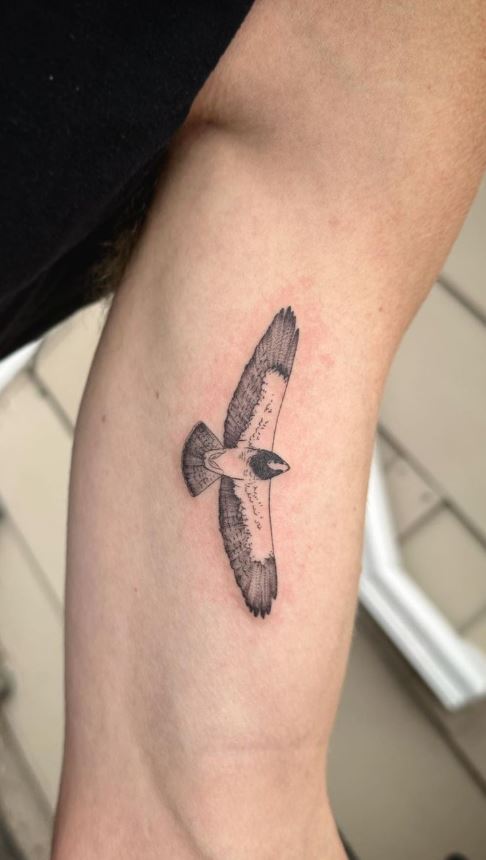 100 Majestic Hawk Tattoos That Exude Strength and Courage  Tattoo Me Now