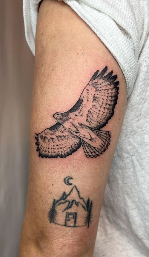 Hawk Tattoo Images  Designs